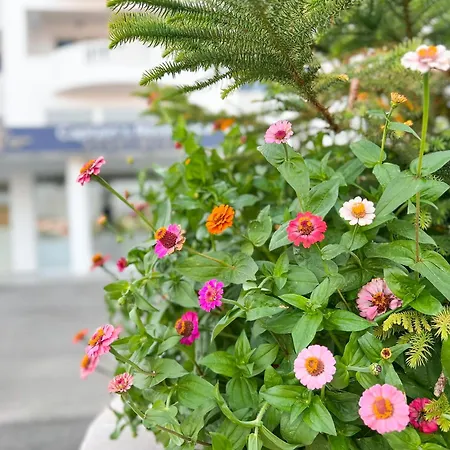 Captain's Apartamento *