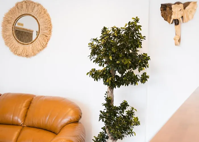 Captain's 卡萨米尔