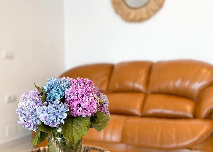 Captain's * 卡萨米尔